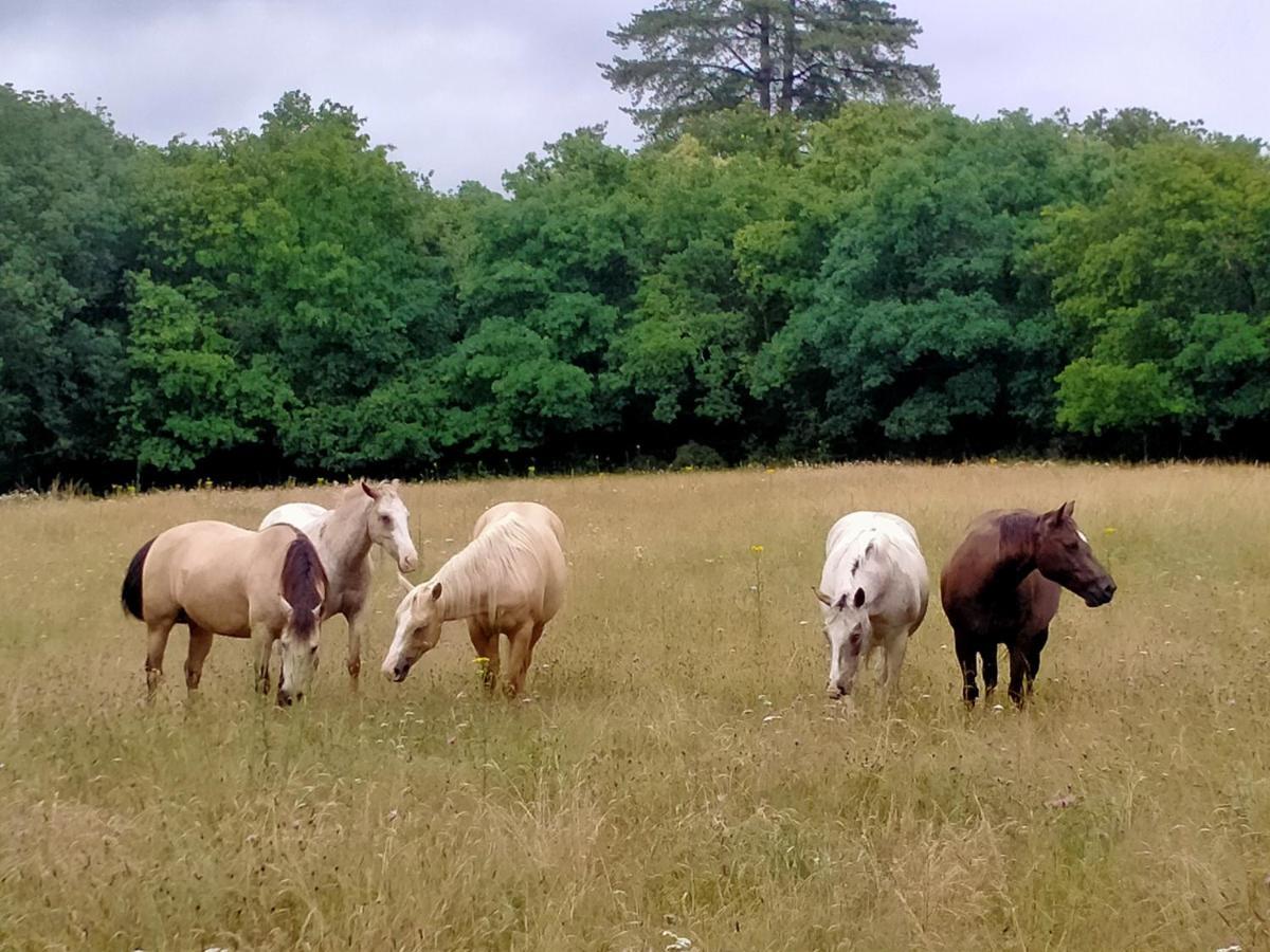 Appartamento Manoir De L'Aisnerie Saint-Herblain Esterno foto